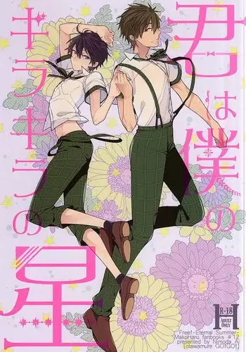 (C88) [Otawamure GO!GO! (Nimoda Ai)] Kimi wa Boku no Kirakira no Hoshi (Free!)