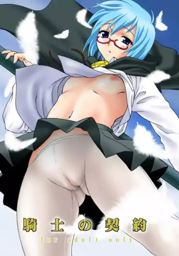 [Tridisaster (Saida Kazuaki)] Kishi no Keiyaku (Zero no Tsukaima) [Digital]