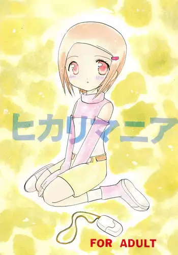 (C59) [Cheese-iri Kamaboko-dou (Mako Cube)] Hikari Mania (Digimon Adventure 02)