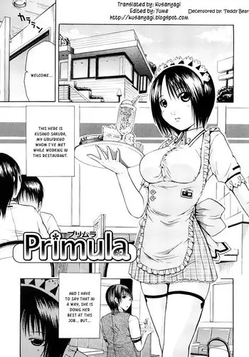 [Junkie] Primula [English] [Kusanyagi] [Decensored]