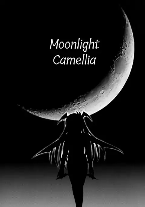 Dokudoku vol.13 Gakkou Tsubaki | Moonlight Camellia