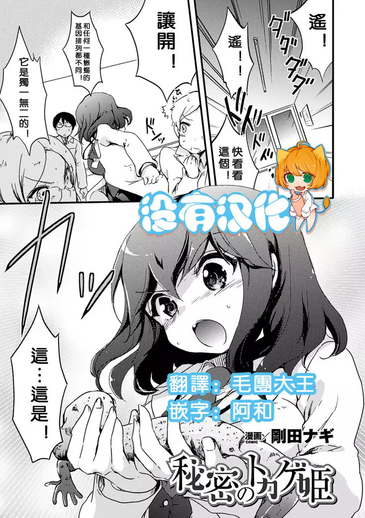 秘密のトカゲ姫