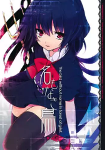 (C78) [super:nova (Yukimachi Tounosuke)] Na Mo Naki Tori - The bird without name in forest of grief. (Touhou Project)